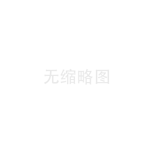 黎元网络科技的技术优势